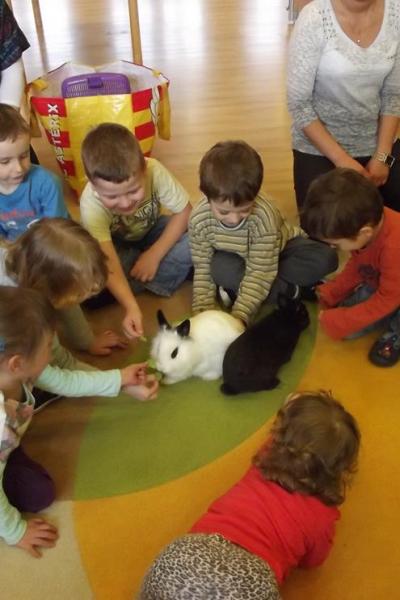 Foto Przedszkole Junior Lublin11