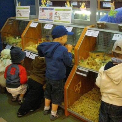 Foto Przedszkole Junior Lublin93